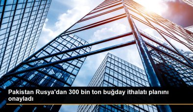 Pakistan Rusya’dan 300 bin ton buğday ithalatı planını onayladı