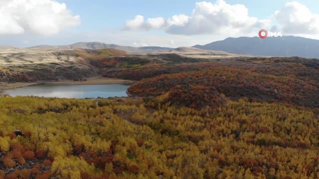 Sonbahar renkleriyle mest eden Nemrut Krater Gölü evlenecek çiftleri doğal stüdyosu oldu