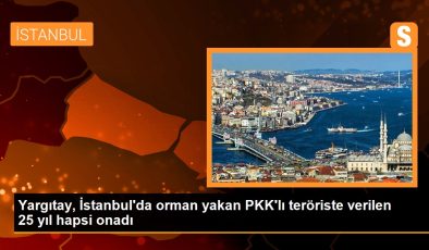 Yargıtay, İstanbul’da orman yakan PKK’lı teröriste verilen 25 yıl mahpusu onadı