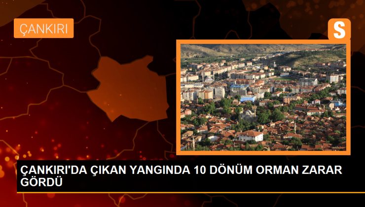 Çankırı’da çıkan yangında 10 dönüm orman zarar gördü